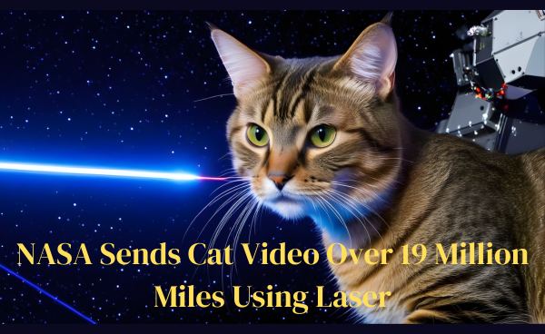 NASA Sends Cat Video Over 19 Million Miles Using Laser